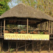 mahangu-safari-lodge