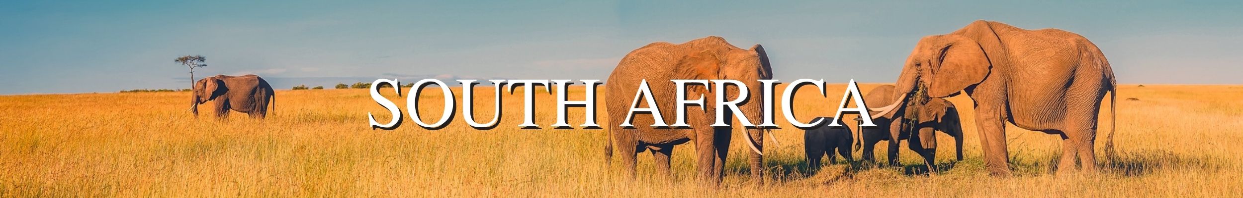 HT_4_South_Africa