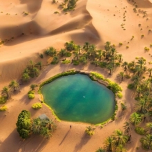 oasis1 oasis1