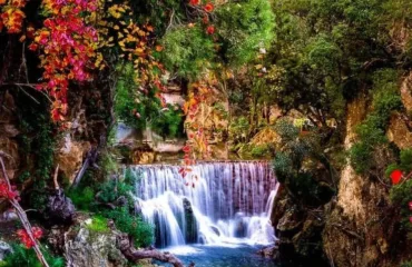 3a4e6f75a49f77e783436b2666627471