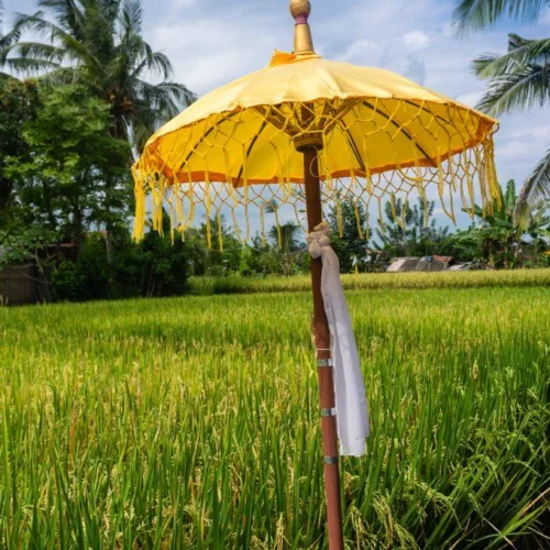 bali0a