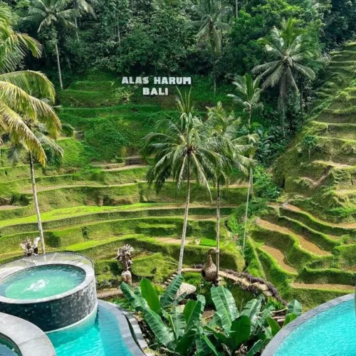bali9